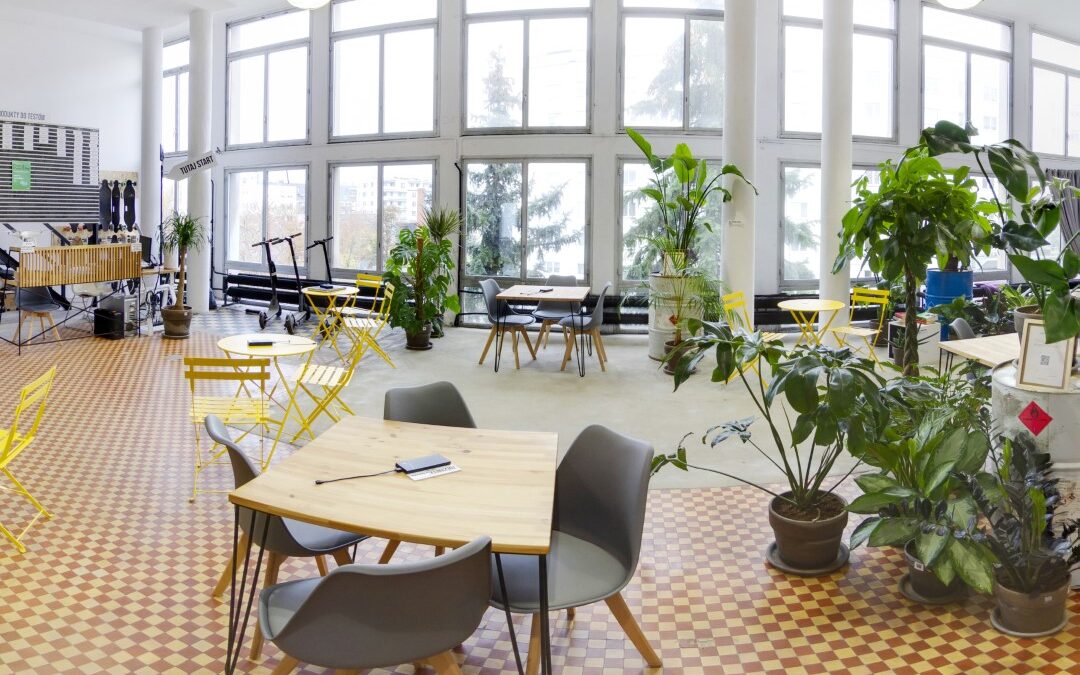 Centrum testów Kuby Klawitera